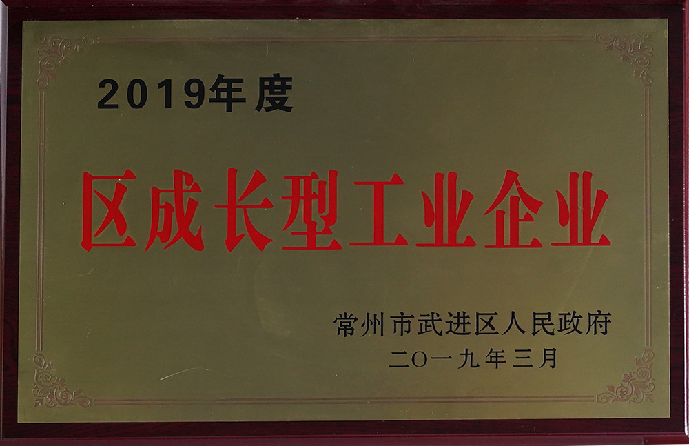 2019年度區成長型工業企業